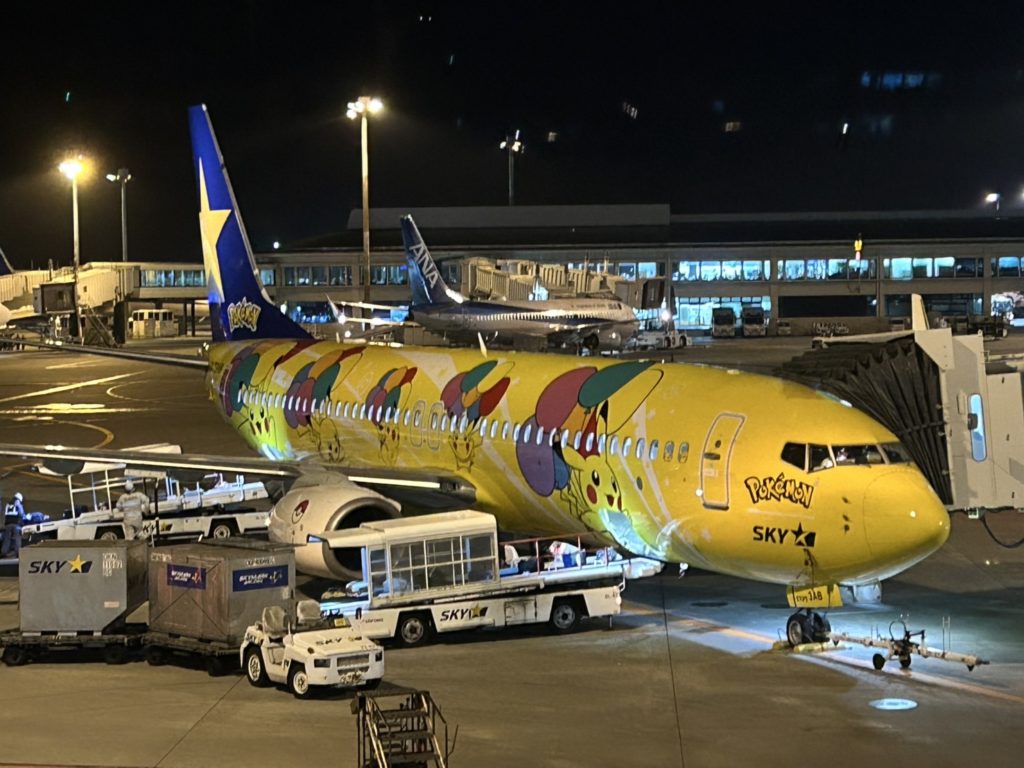 スカイマークのボーイング737型機