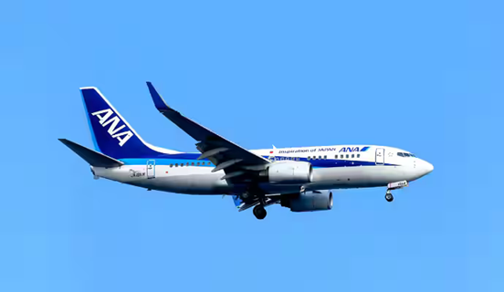 ANAの737