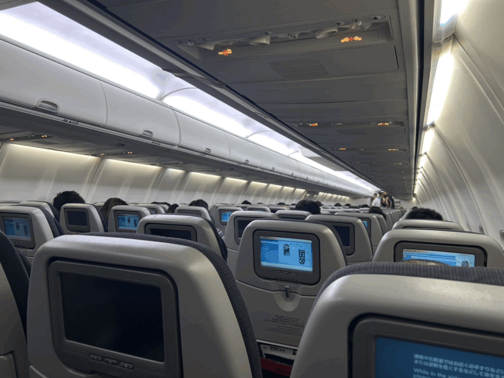 後ろから見た様子