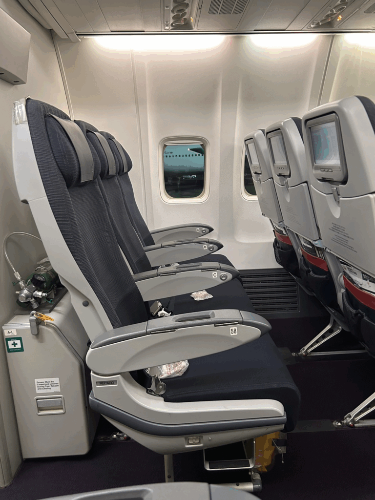 横から見たシート